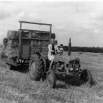 005-harvest-time-on-old-farm005