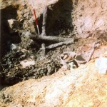 014-old-farm-2006-bronze-age-wood-in-well-no1011