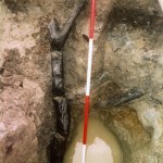 016-old-farm-2006-bronze-age-wood-in-well-no-2013