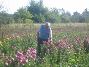 2005-hsc-246-mr-munn-with-his-flowers
