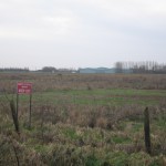 2007-jan-18