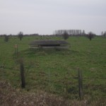 2007-jan-22
