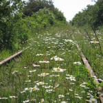 img_2587-track-ls-to-over-bridge