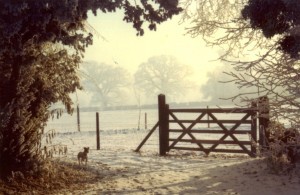la-ivan-cooke-collection-manor-farm-longstanton-views-023