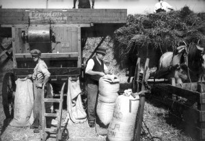 la-ivan-cooke-collection-manor-farm-longstanton-views-045