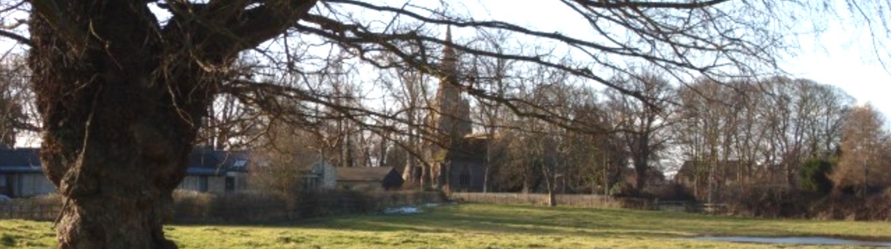 Winter light across Manor Farm paddocks in Longstanton